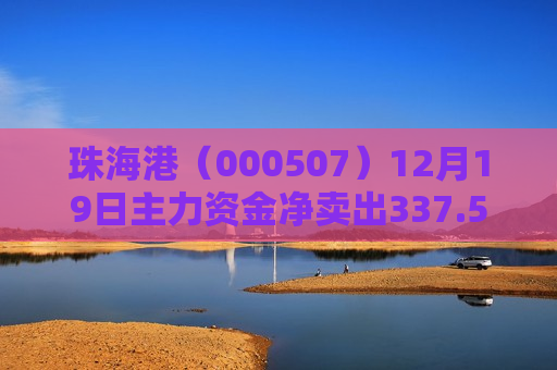 珠海港（000507）12月19日主力资金净卖出337.53万元