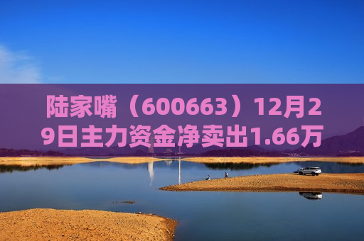 陆家嘴（600663）12月29日主力资金净卖出1.66万元