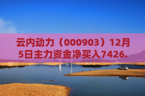 云内动力（000903）12月5日主力资金净买入7426.16万元