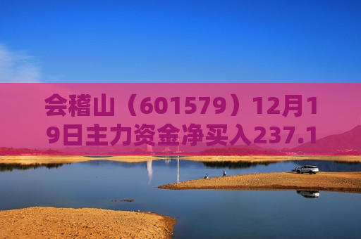 会稽山（601579）12月19日主力资金净买入237.15万元