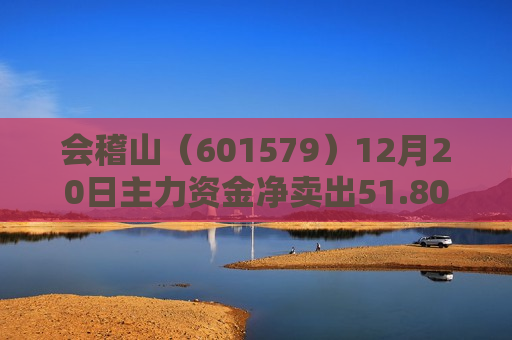 会稽山（601579）12月20日主力资金净卖出51.80万元