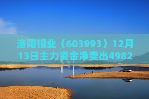 洛阳钼业（603993）12月13日主力资金净卖出4982.28万元