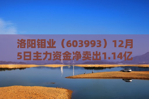 洛阳钼业（603993）12月5日主力资金净卖出1.14亿元