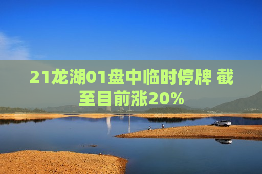 21龙湖01盘中临时停牌 截至目前涨20%