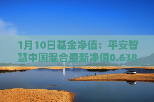 1月10日基金净值：平安智慧中国混合最新净值0.638