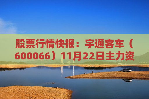 股票行情快报：宇通客车（600066）11月22日主力资金净卖出2658.97万元