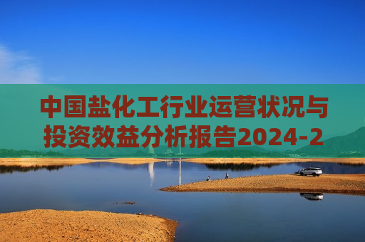 中国盐化工行业运营状况与投资效益分析报告2024-2031年