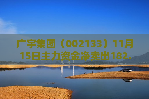广宇集团（002133）11月15日主力资金净卖出182.35万元