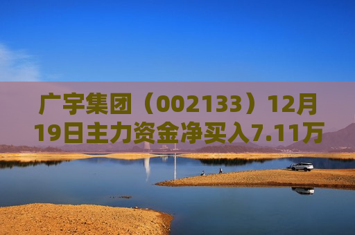 广宇集团（002133）12月19日主力资金净买入7.11万元