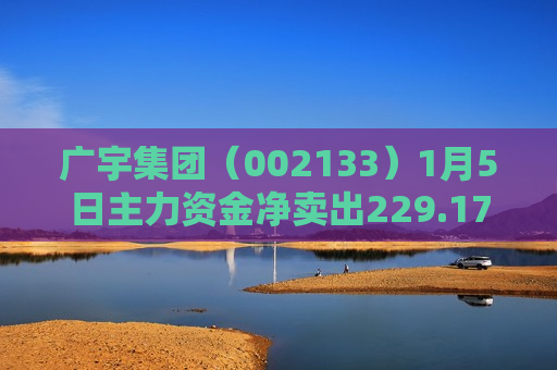 广宇集团（002133）1月5日主力资金净卖出229.17万元
