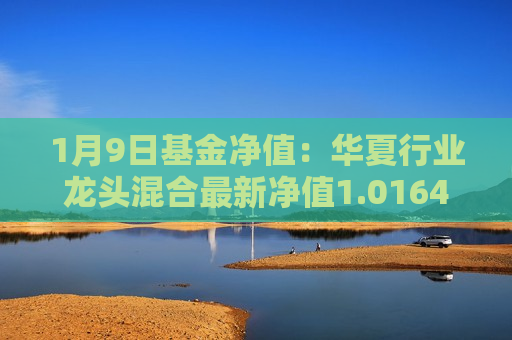 1月9日基金净值：华夏行业龙头混合最新净值1.0164，涨0.2%