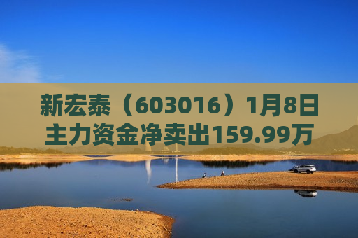 新宏泰（603016）1月8日主力资金净卖出159.99万元
