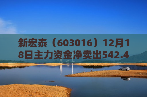 新宏泰（603016）12月18日主力资金净卖出542.43万元