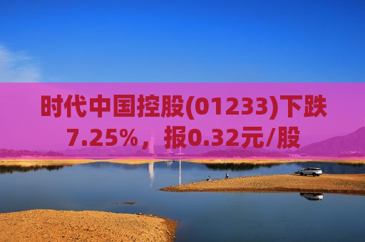 时代中国控股(01233)下跌7.25%，报0.32元/股