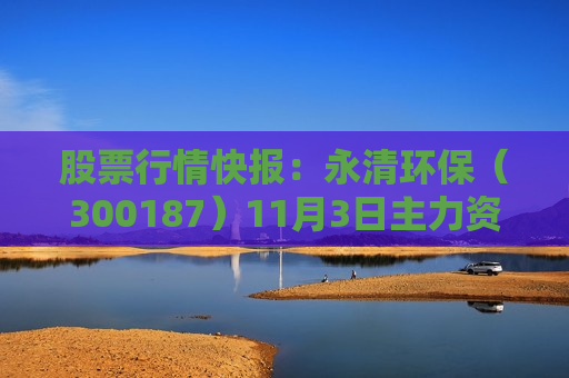 股票行情快报：永清环保（300187）11月3日主力资金净卖出101.45万元