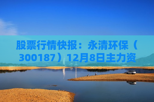 股票行情快报：永清环保（300187）12月8日主力资金净买入46.05万元