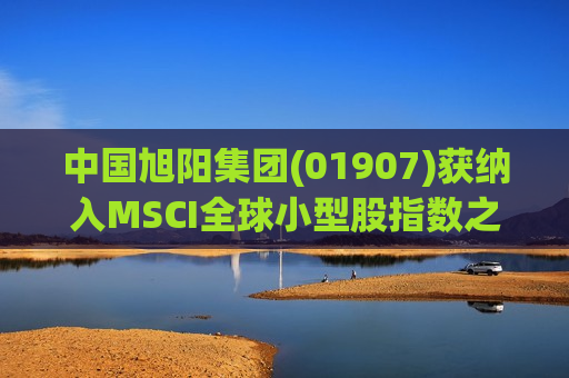 中国旭阳集团(01907)获纳入MSCI全球小型股指数之中国指数