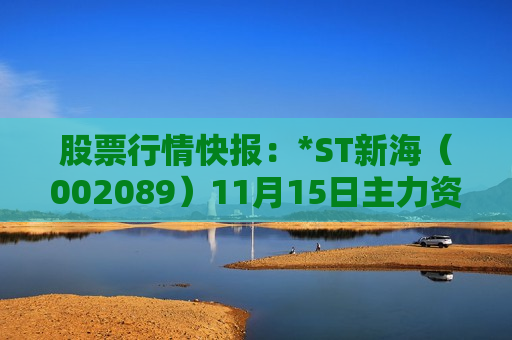 股票行情快报：*ST新海（002089）11月15日主力资金净卖出62.95万元