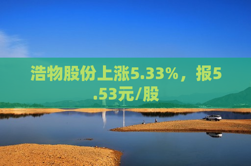 浩物股份上涨5.33%，报5.53元/股