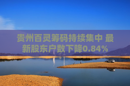 贵州百灵筹码持续集中 最新股东户数下降0.84%