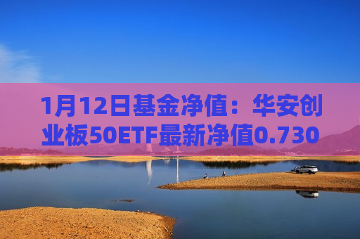 1月12日基金净值：华安创业板50ETF最新净值0.7304，跌1.16%